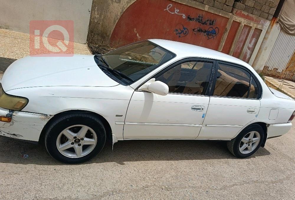 تويوتا كورولا